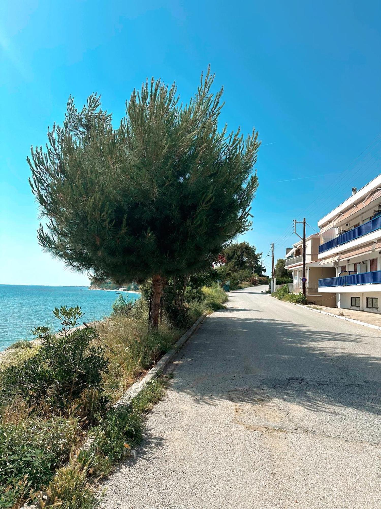 Diara Apartment Νέα Ηράκλεια Εξωτερικό φωτογραφία